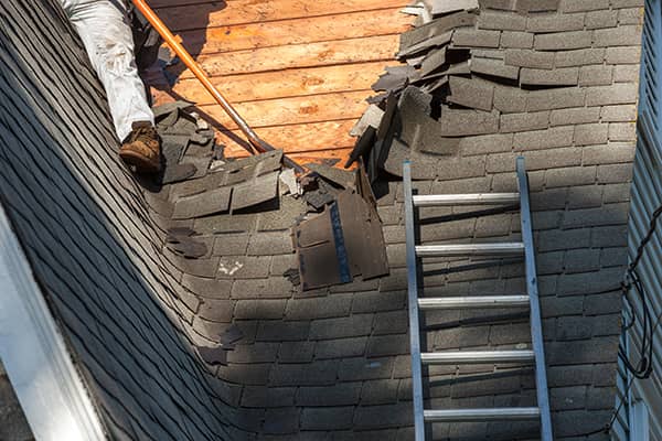 Professional Roofing Contractor